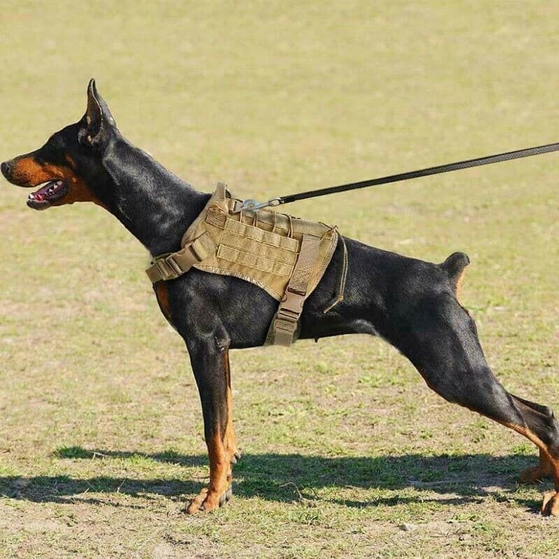 Heavy Duty Tactical Military Dog Vest Harness - Merchandise Plug